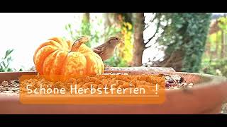 Schöne Herbstferien [upl. by Argile]