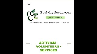 EvolvingSeeds Roots  Active Media [upl. by Ninette]