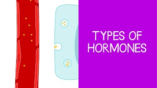 52 Types of Hormones [upl. by Ddene]