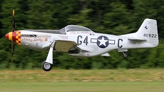 MEETING La Ferté Alais 2016  les avions dhier et daujourdhui [upl. by Ynneb38]