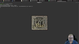 Installing Mods using Wrye Bash [upl. by Ebenezer]