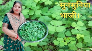 हमर छत्तीसगढ़ के भाजी चुनचुनिया ला बनाए के विधि  cg sunsuniya bhaji recipe  cg vlogger Mamta [upl. by Lauhsoj944]