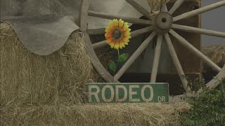 Bonifay Festivities continue with Northwest Florida Championship Rodeo Parade [upl. by Nas39]