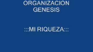 ORGANIZACION GENESIS MI RIQUEZA [upl. by Yhtomit]