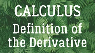 Calculus  Definition of the Derivative [upl. by Sonya353]