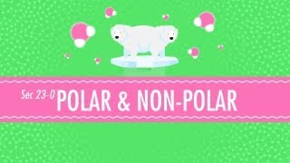 Polar amp NonPolar Molecules Crash Course Chemistry 23 [upl. by Sherburne]