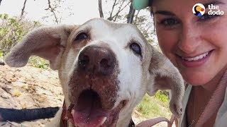 Dog Who Spent 7 Years In The Shelter Is SO Happy To Have A Family  The Dodo Faith  Restored [upl. by Anora]