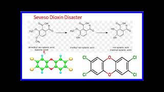 28127Chemical Chapter 3  हिंदी मे  Major Industrial DisasterCase studies 2 Seveso [upl. by Gorey]