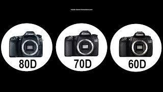 Canon 80D vs 70D vs 60D  differences and similarities [upl. by Nairod]