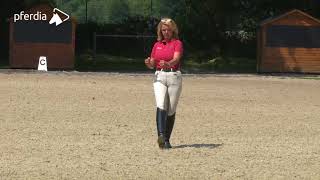 Dressage Explained Part 4 Lateral Movements [upl. by Reger642]