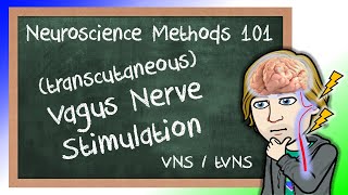 Vagus Nerve Stimulation Explained VNStVNS  Neuroscience Methods 101 [upl. by Siram]