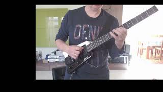 Steinberger Guitars GtPro Deluxe WH [upl. by Ahsam]