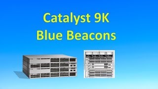 Catalyst 9000 Blue Beacon Lights [upl. by Ayanej]