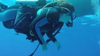 Molokini Crater Dive 2 Part 2 [upl. by Gnoht]