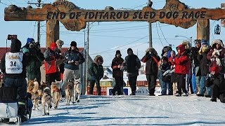 Iditarod Finish And Northern Lights Tour with Wild Alaska Travel [upl. by Timmie230]