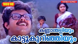 കണ്ണാന്തളിയും കാട്ടൂകുറിഞ്ഞിയും  Anubandham  Malayalam Film Song  Mammootty [upl. by Sloatman]