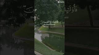 MashaAllah very nice Quran recitation [upl. by Readus751]