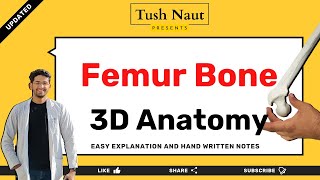 Femur Bone  Complete Anatomy  Easy handwritten notes [upl. by Intruoc]