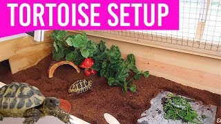 NEW Setting Up My Tortoise Enclosure  DIY Tortoise Table House [upl. by Waddell]