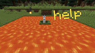 torturing animals in minecraft for 4 minutes straight [upl. by Introc]