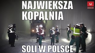 Jak wydobywa się sól Kopalnia soli KGHM PolkowiceSieroszowice [upl. by Delaryd903]