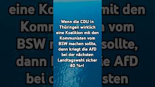 Koalition TH shorts shortsfeed shortvideo afd politik deutsch foryou fyp thüringen 4u [upl. by Gris]