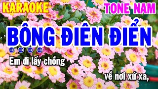 Karaoke Bông Điên Điển Tone Nam Cha Cha Chuẩn Nhất 2024  Nhạc Sống Hải Tiên [upl. by Nirrep]