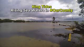 Timelapse of King Tide at Matheson Hammock Park [upl. by Nosnah696]