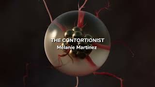 Melanie Martinez  THE CONTORTIONIST Lyric Video Full LQ [upl. by Enovi]