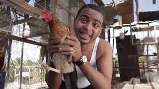 Nfasis  Gallinas y Avestruces Video oficial [upl. by Elke]