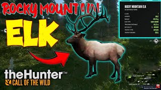 GUARANTEED DIAMOND Rocky Mountain Elk MASSIVE 511 World Score thehuntercallofthewild [upl. by Aevin452]