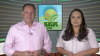 SERGIPE RURAL  PROGRAMA 446 [upl. by Immas347]