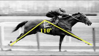 Man O War vs Secretariat [upl. by Elodie]