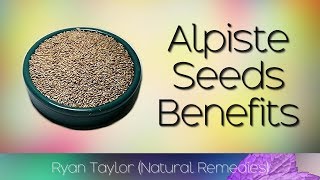 Alpiste Seed Milk Benefits and Uses [upl. by Aronas915]