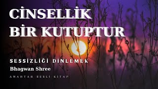 Cinsellik Bir Kutuptur  Bhagwan Shree  Anahtar Sesli Kitap [upl. by Nerhe]