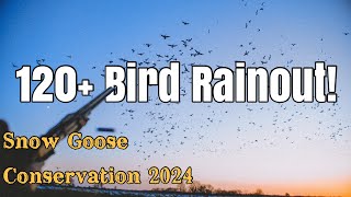 Episode 10 120 Bird Rainout [upl. by Eldin]