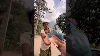 ✨Roadside Gotukola ✨🇱🇰 shorts fruit srilanka food [upl. by Vernen213]