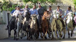 CODOGNAN COURSE DE TAUREAUX NEUF  BANDIDO 24062018 [upl. by Suzanna]