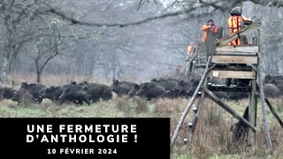 SANGLIERS CERFS ET CHEVREUILS EN BATTUE  UNE FERMETURE DANTHOLOGIE [upl. by Howes857]