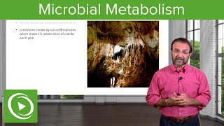 Metabolic Wizardry Microbial Metabolism – Microbiology  Lecturio [upl. by Countess519]