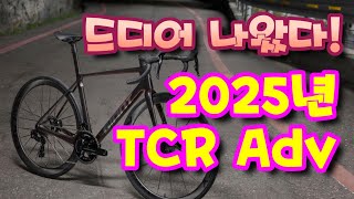 드디어 2025년 TCR 어드밴스 발표  자이언트자전거 별바이크 [upl. by Radford417]