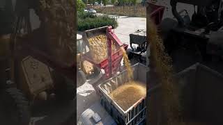 Forklift loading corn thresher [upl. by Ninaj]