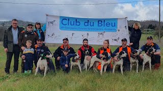 Brevet de chasse et expo canine à Deruta  Italie  avec les Grands Blancs des Alpes le 2amp3032024 [upl. by Ahsenrad]