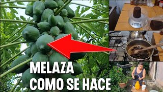 Como hacer MELAZA para tener árboles llenos de FRUTAS Y FLORES 🚫🐜🐜 [upl. by Ahsiekim]