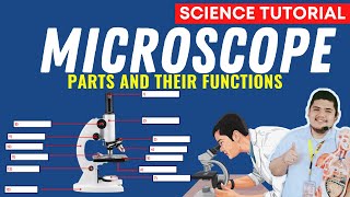 MICROSCOPE PARTS AND FUNCTIONS  SCIENCE 7 QUARTER 2 MODULE 1 [upl. by Dodie975]