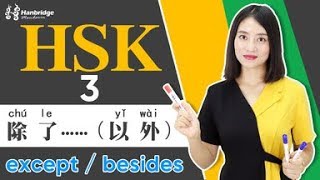 Lets learn HSK 3 sentence structure 除了……（以外） [upl. by Cotterell]