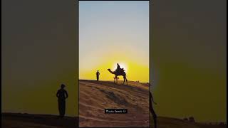 🐫🐪Rajasthani Video🐪🐫 shrots vairalshort rajisthan vairalbestvairalshort [upl. by Nohtiek]