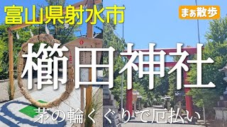 【観光】櫛田神社で無病息災を願う 富山県射水市 櫛田神社 茅の輪くぐり [upl. by Nneb]