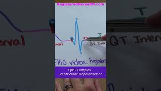 ECG  EKG Waveform Parts Explained in Less Than 1 Minute PQRST Complex shorts [upl. by Aened711]