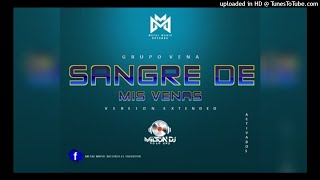 Sangre De Mis Venas Version Extended Grupo Vena  Milton DJ  Metal Music Records [upl. by Ahsieyn]